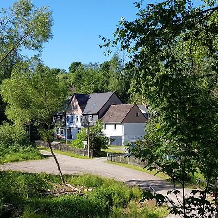 Naturferienhaus Luppbodemuhle Allrode Exteriör bild