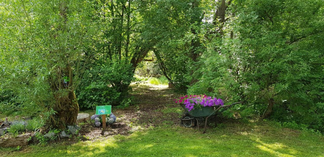 Naturferienhaus Luppbodemuhle Allrode Exteriör bild