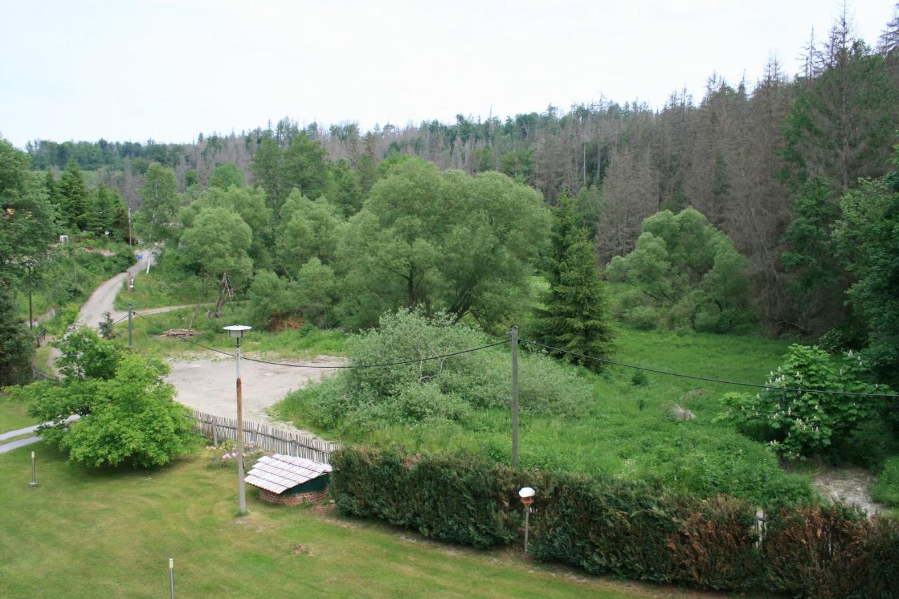 Naturferienhaus Luppbodemuhle Allrode Exteriör bild