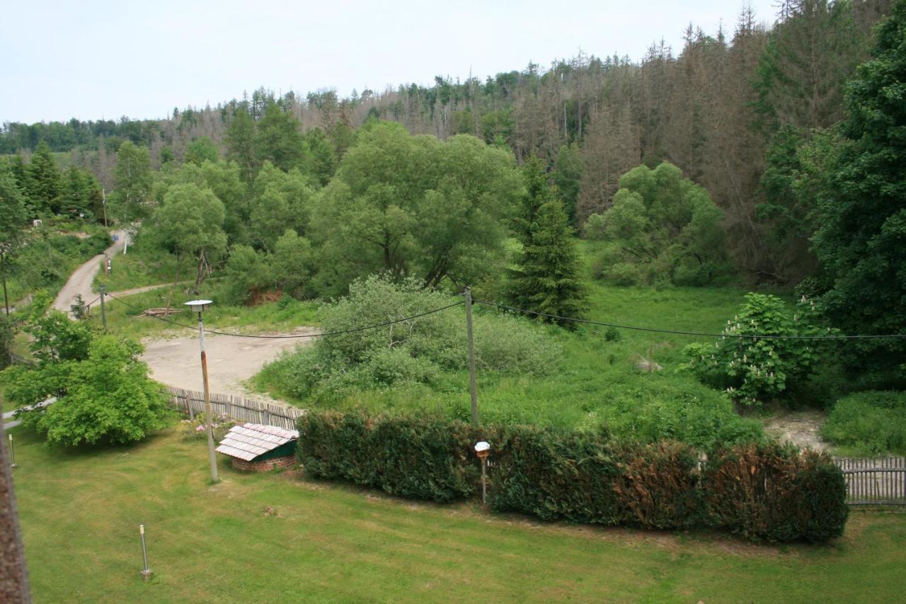 Naturferienhaus Luppbodemuhle Allrode Exteriör bild