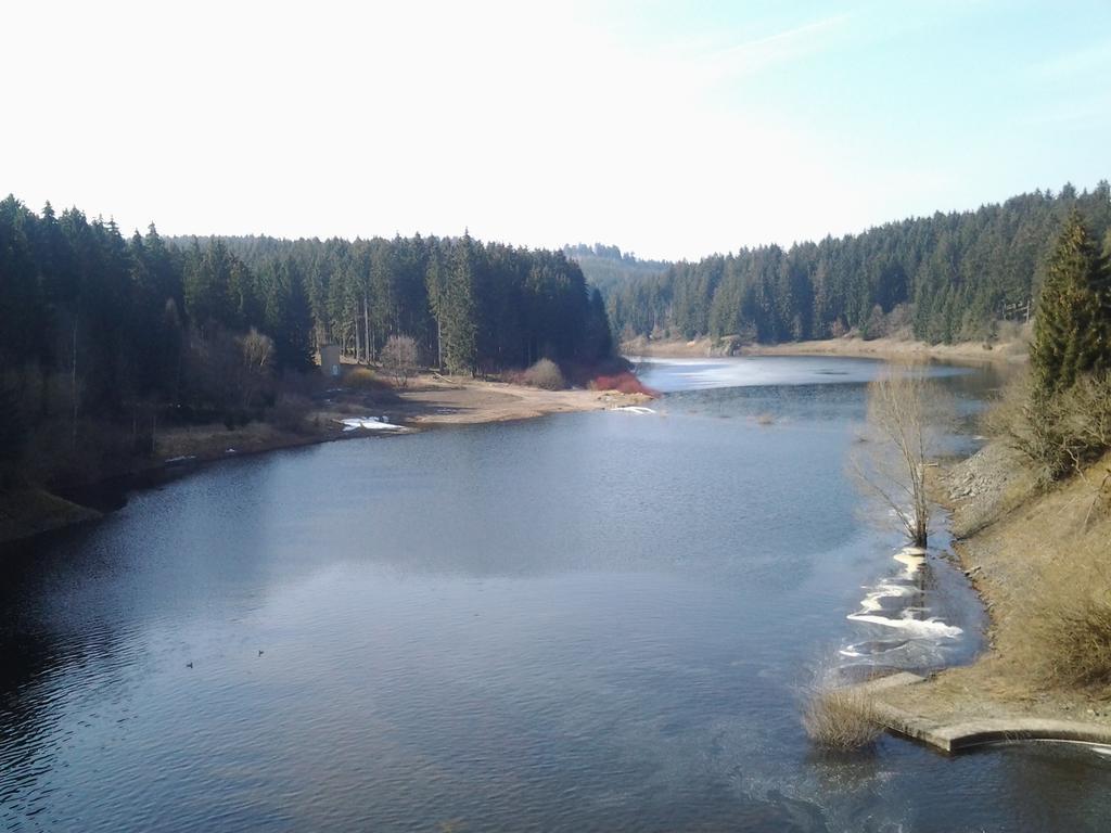 Naturferienhaus Luppbodemuhle Allrode Exteriör bild