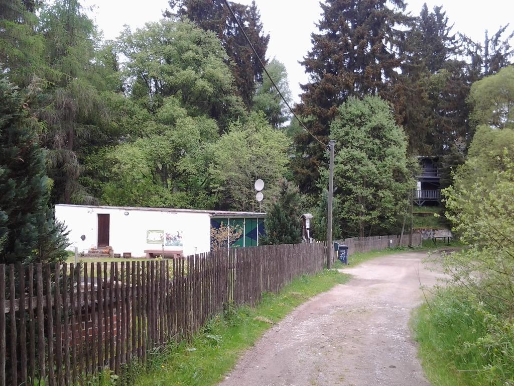 Naturferienhaus Luppbodemuhle Allrode Exteriör bild