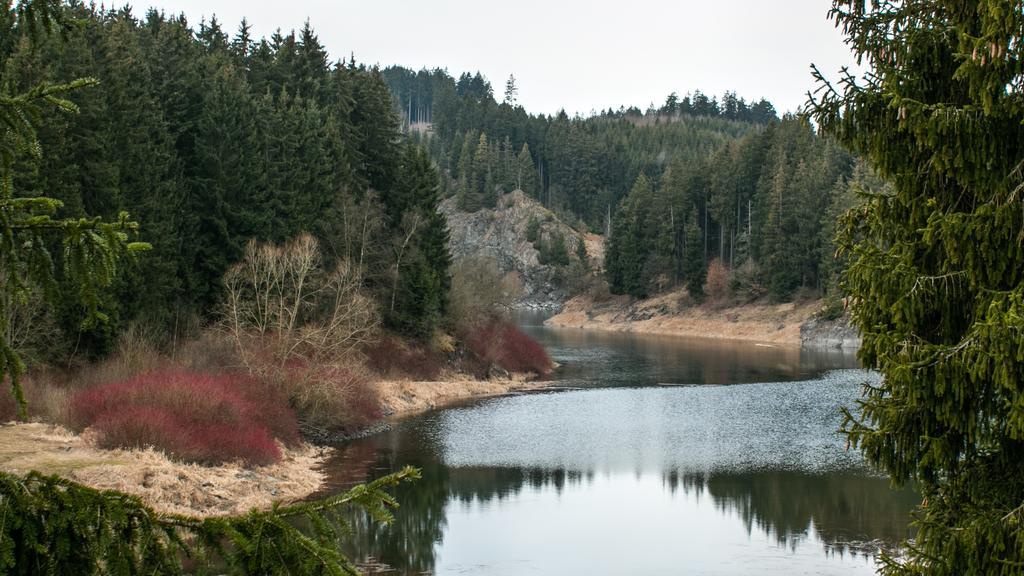 Naturferienhaus Luppbodemuhle Allrode Exteriör bild