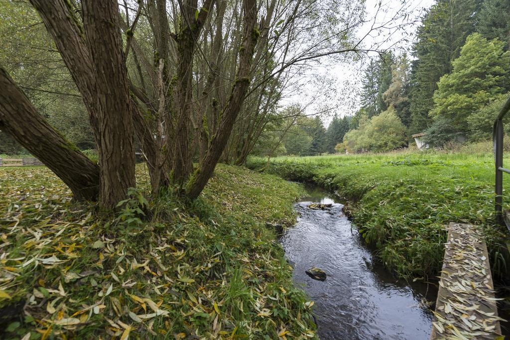 Naturferienhaus Luppbodemuhle Allrode Exteriör bild