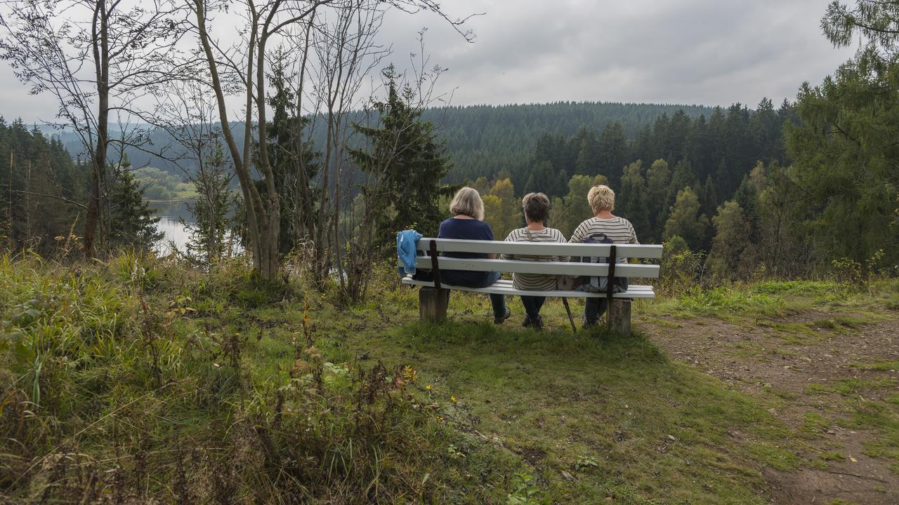 Naturferienhaus Luppbodemuhle Allrode Exteriör bild